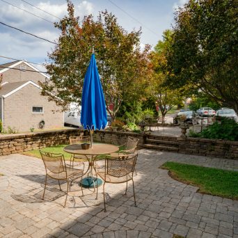 a close up of a garden