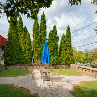 a path with grass and trees