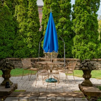 a bird sitting on a bench in a garden