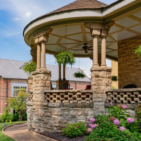 a close up of a flower garden in front of a building